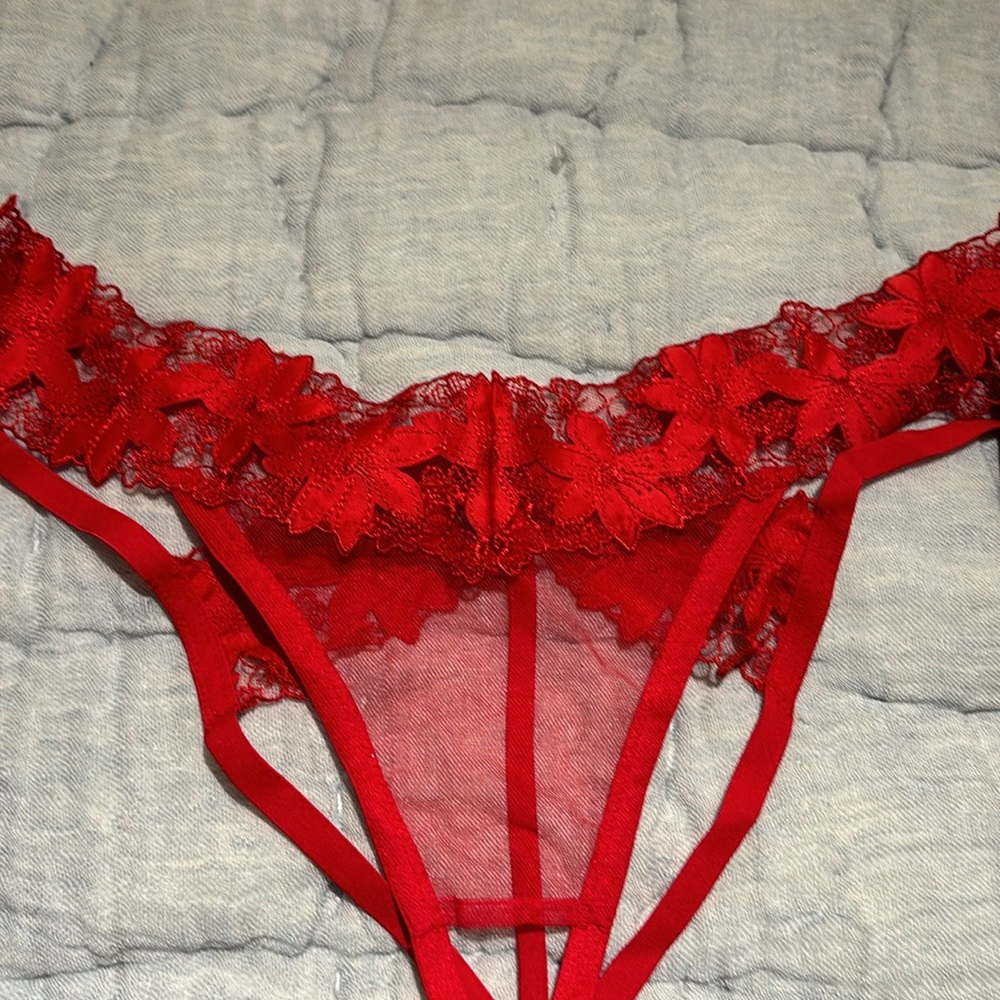 NWT Victoria’s Secret Ziggy Glam Floral Embroidery Crotchless Thong Panty. - Picture 5 of 6